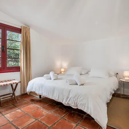 Abejera * La Orotava