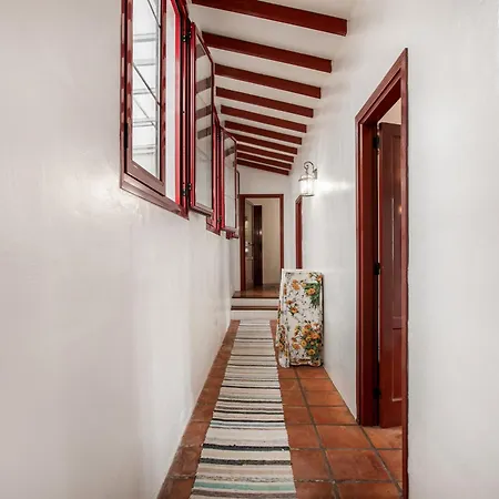 Abejera * La Orotava